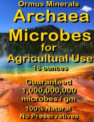 Archaea Minerals