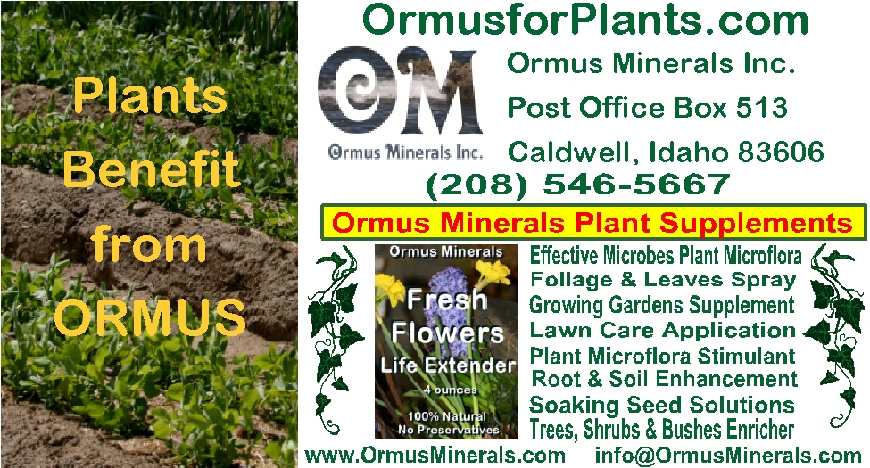 Ormus Minerals Business Card for plants web